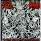 ALTAR OF GIALLO / PROCTALGIA Grotesque remains of deformed putrid bodies CD